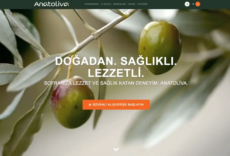 Anatoliva — Web sitesi